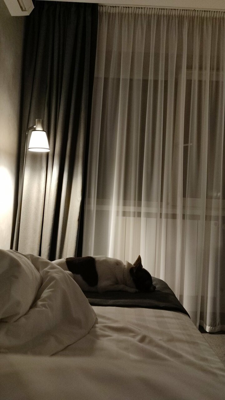 Отель Уайт Хилл Белгород-187