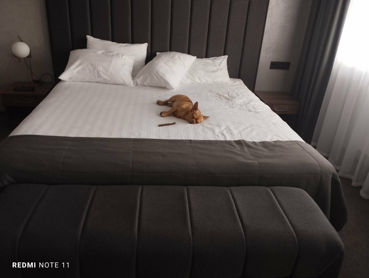 Отель Уайт Хилл Белгород-147