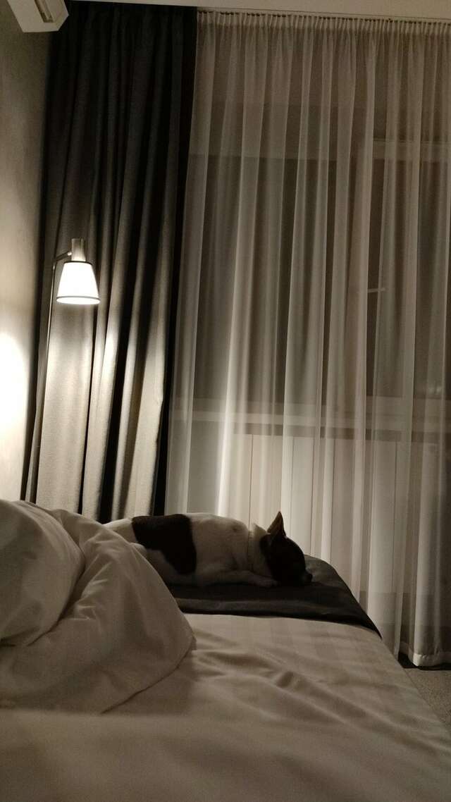 Отель Уайт Хилл Белгород-186